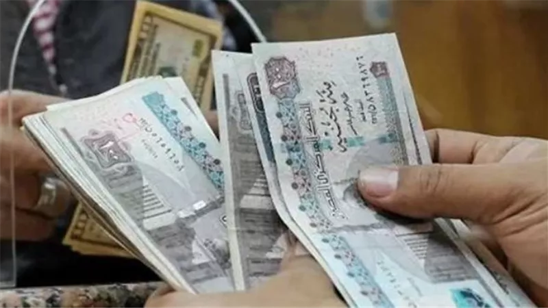 هل المعاشات زادت في يناير؟