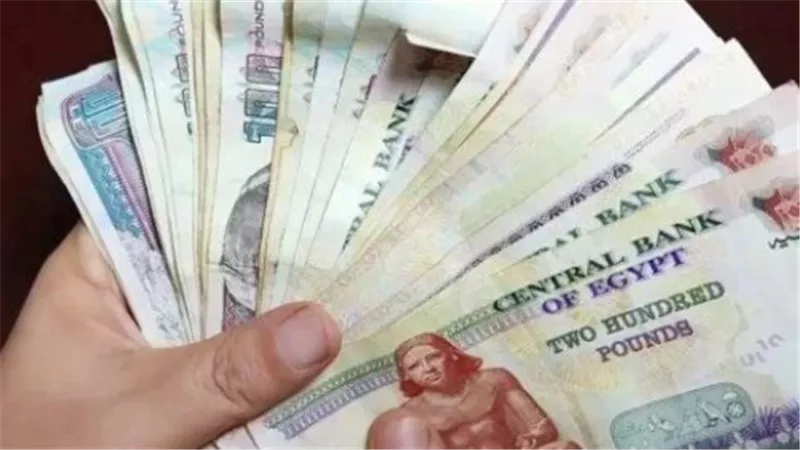  بعد زيادة الحد الأدنى.. ما قيمة معاش شهر يناير 2025؟