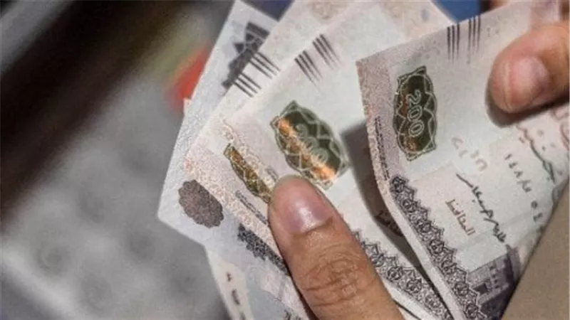 الفئات المستفيدة من قرار زيادة المعاشات مطلع يناير 2025.. وموعد الصرف 