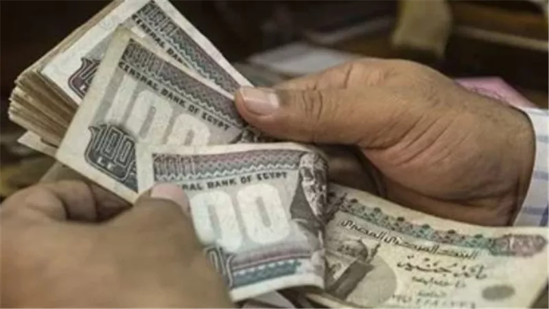 الفئات المستفيدة والمستحقة لزيادة معاشات يناير 2025