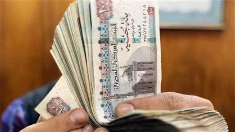 متى زيادة المعاشات شهر يناير 2025 رسميًا؟