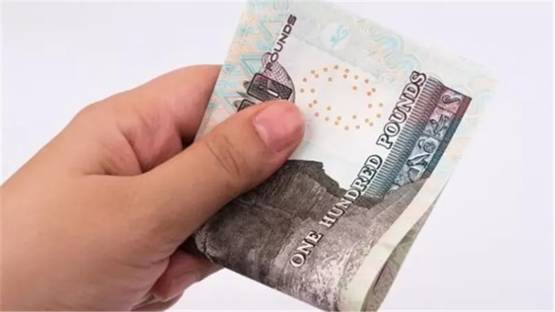  تفاصيل زيادة معاشات شهر يناير 2025