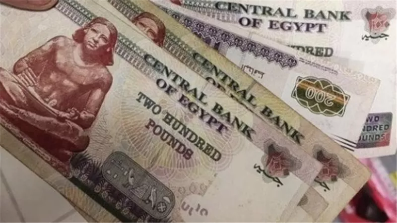 أماكن صرف معاشات يناير 2025.. والفئات المستحقة 