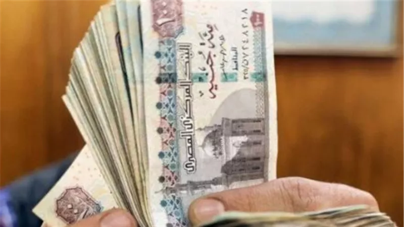 كيفية الاستعلام عن معاشات شهر فبراير 2025