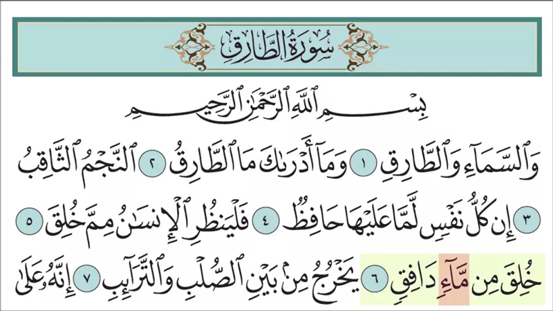 تفسير سورة الطارق.. معاني بليغة تبرز قدرة الله