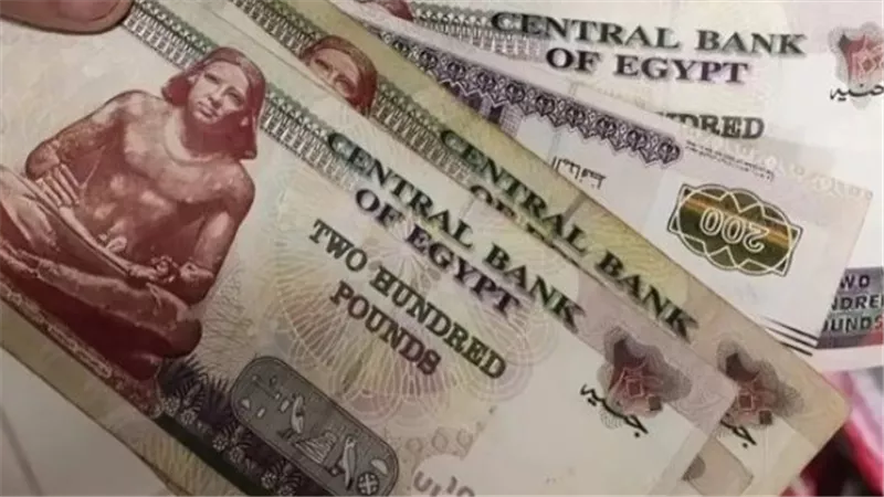 موعد صرف معاشات يناير 2025 بزيادة الحد الأدنى والأقصى