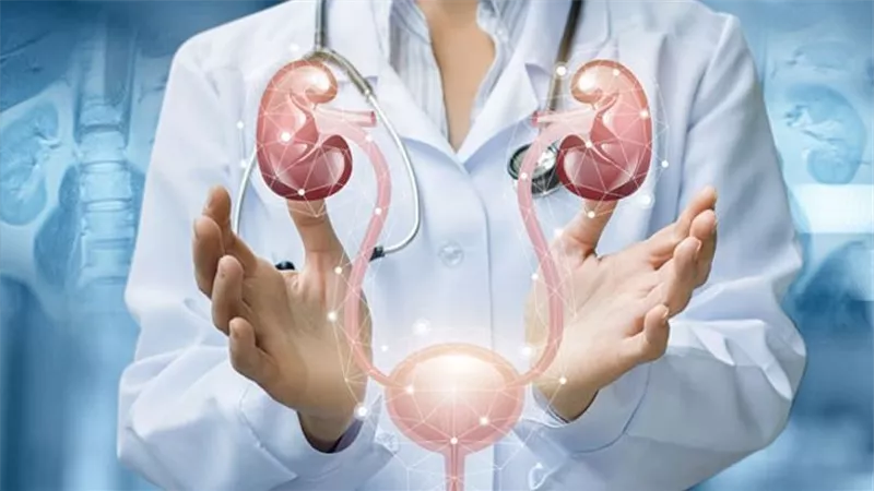 5 خطوات لـ الوقاية من التهاب المسالك البولية