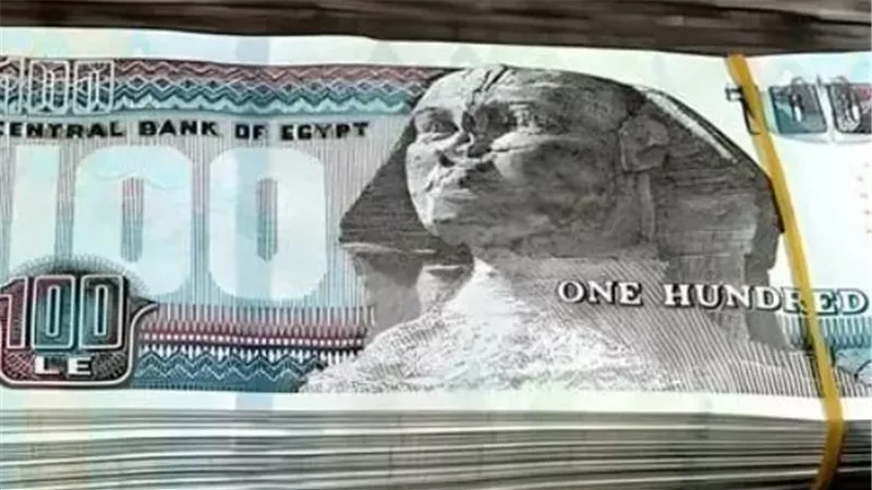 كيفية الاستعلام عن معاشات شهر فبراير 2025