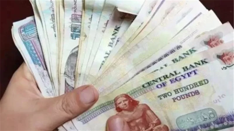 موعد صرف معاشات شهر فبراير 2025.. خطوات الاستعلام عن قيمة المعاش بالاسم