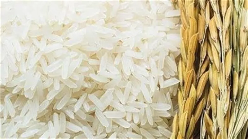 أسعار الأرز المعبأ والسايب اليوم السبت 25 يناير 2025.. سعر طن الأرز الشعير اليوم بكام؟