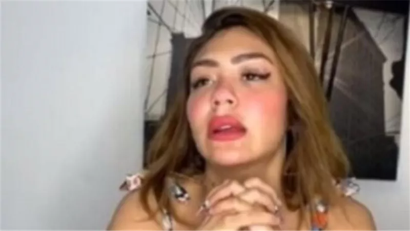 4 مارس المقبل.. الحكم في استئناف البلوجر هدير عبد الرازق على حبسها
