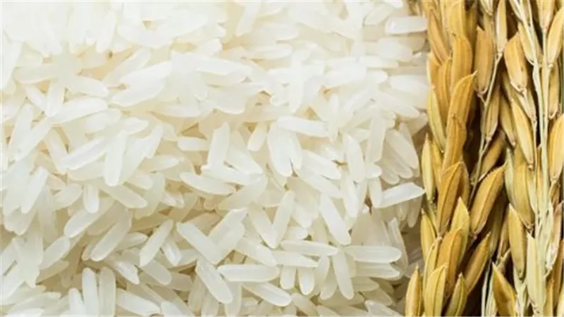 سعر طن الأرز الشعير اليوم الأربعاء 5 فبراير 2025