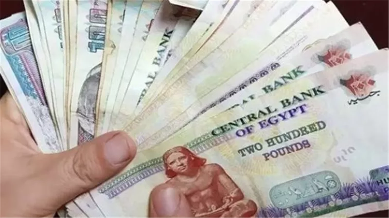خطوات كيف تستعلم عن الزيادة الجديدة.. موعد صرف معاشات شهر مارس 2025