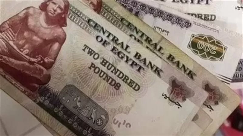 موعد صرف معاشات مايو 2025.. وخطوات الاستعلام 
