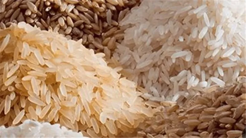 سعر طن الأرز الشعير اليوم الأربعاء 9 أبريل 2025