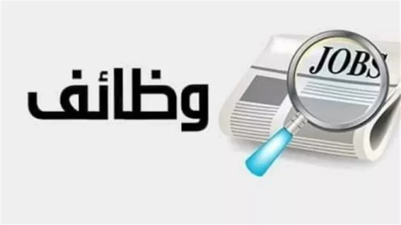وزارة العمل المصرية تعلن عن 200 وظيفة.. التخصصات وطريقة التقديم