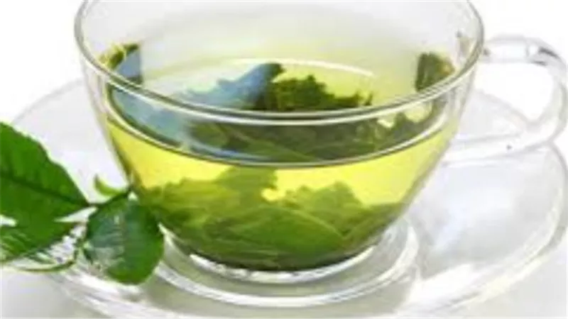  فوائد صحية لشرب الشاي الأخضر يوميًا في الصباح.. اعرفها 