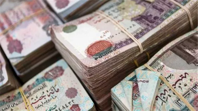 موعد صرف معاشات شهر مايو 2025