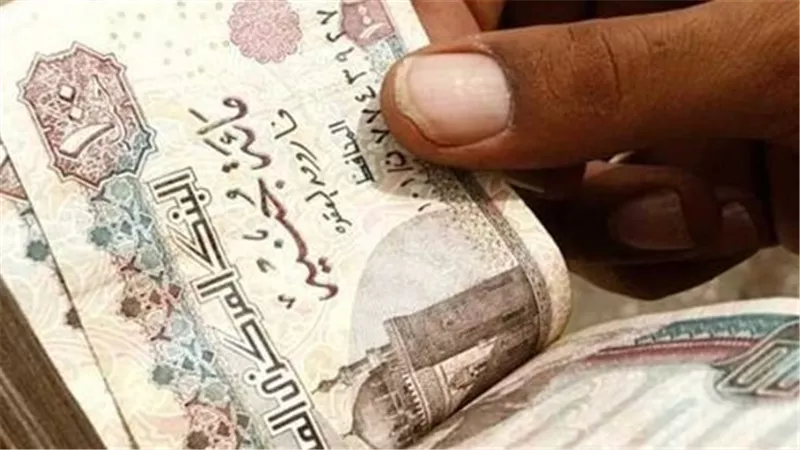 طريقة الاستعلام عن معاشات مايو 2025 والزيادة الجديدة إلكترونيًا
