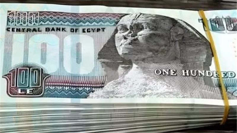 هل يوجد زيادة في المعاشات الشهر القادم 2025؟