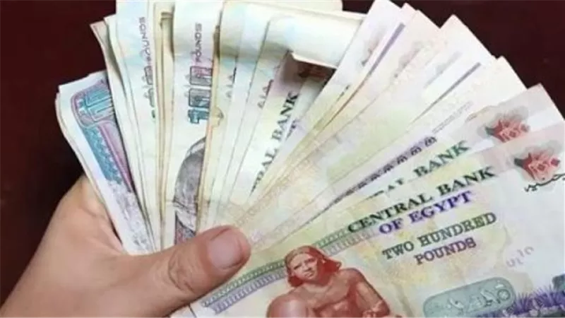 أماكن صرف معاشات مايو 2025.. وطريقة الاستعلام 