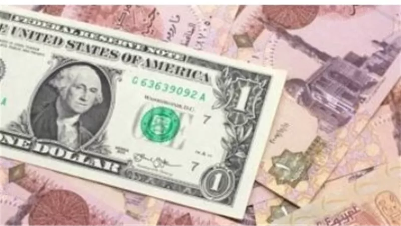 سعر الدولار في البنك التجاري الدولي (CIB) اليوم 10_5_ 2025