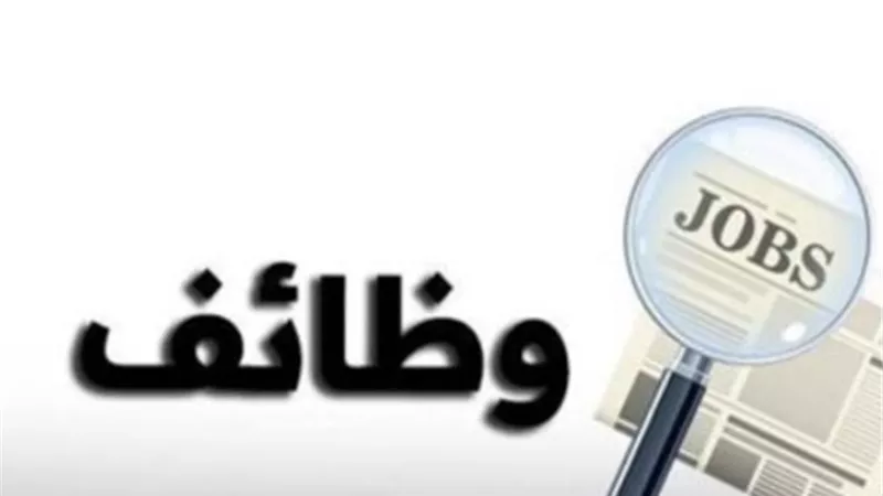 تفاصيل الوظائف المتاحة للشباب في شركة تجارية بالقاهرة