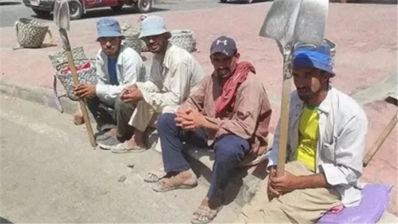 رابط وخطوات الاستعلام عن منحة العمالة غير المنتظمة 2025