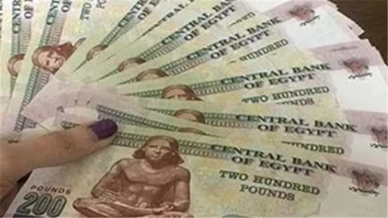 ما خطوات الاستعلام عن معاشات شهر يونيو 2025؟