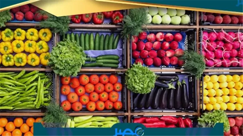  أسعار الخضروات والفاكهة اليوم 14_6_2025