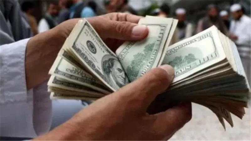 سعر الدولار في البنك المركزي المصري اليوم 15_6_2025