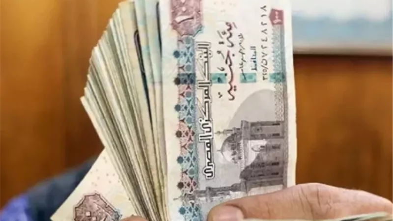 من أين تصرف المعاشات؟