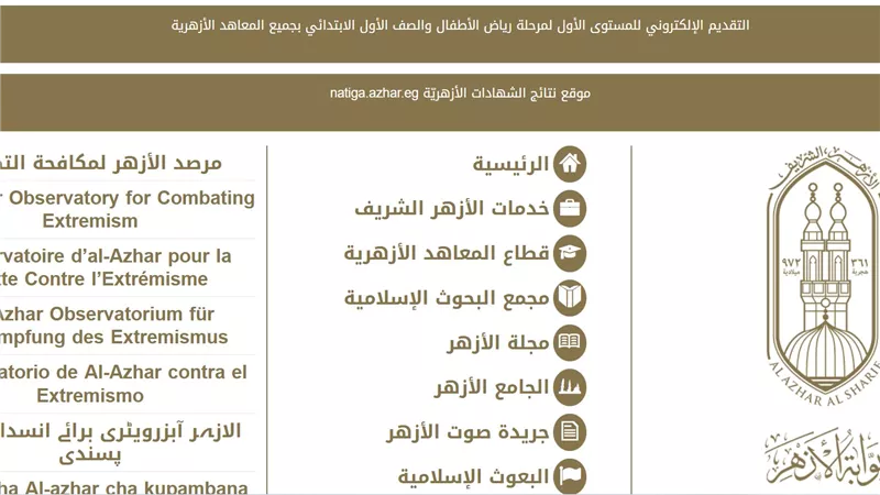 أسماء أوائل الثانوية الأزهرية 2025.. تميز لافت لطلاب غزة والوجه البحري