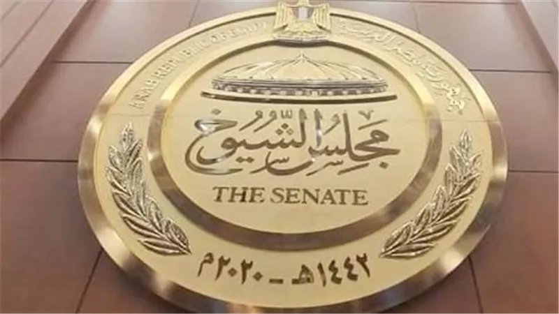 انتخابات الشيوخ 2025: مشاركة واسعة للمصريين في الخارج