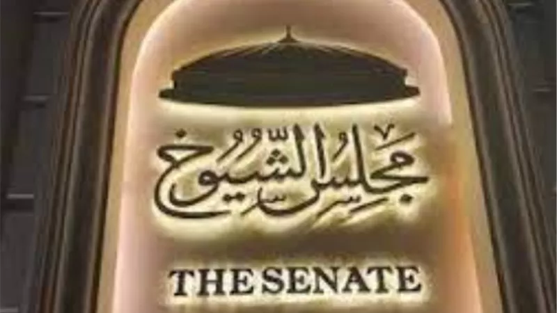 تفاصيل تصويت المصريين بالخارج في انتخابات مجلس الشيوخ 2025