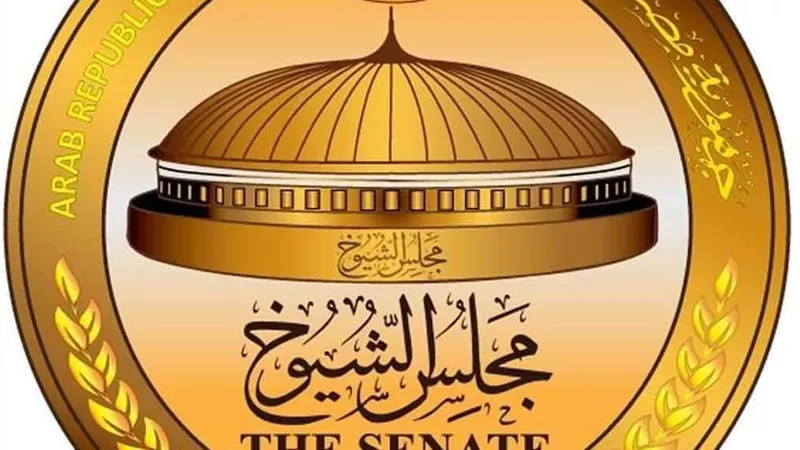 موعد انتخابات مجلس الشيوخ 2025 في الداخل والخارج رسميًا