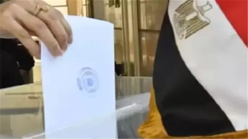 انتخابات الشيوخ 2025: دور المصريين في الخارج في صناعة القرار
