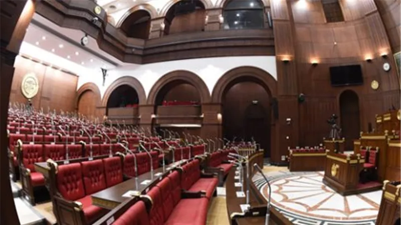 ما الجديد في انتخابات مجلس الشيوخ 2025؟ التنظيم، النزاهة، والمشاركة