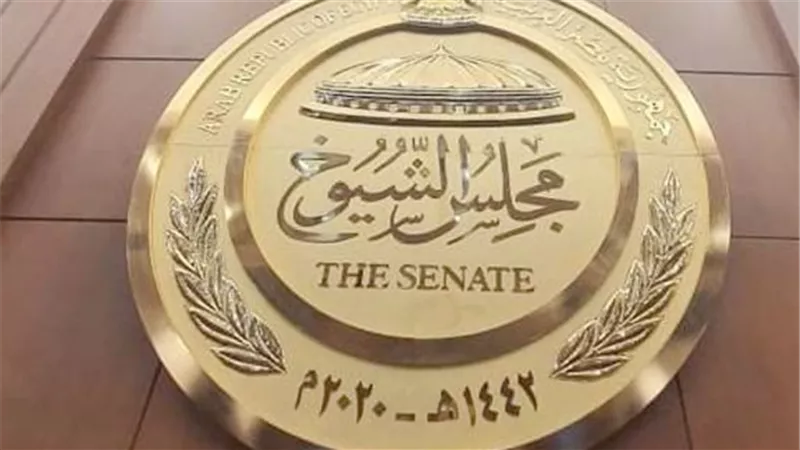 موعد انتخابات مجلس الشيوخ المصري 2025 وجدولها الزمني الرسمي