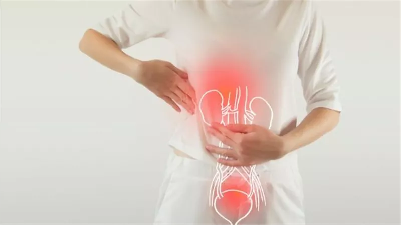 أسباب وأعراض المثانة الإسفنجية.. كل ما تحتاج إلى معرفته