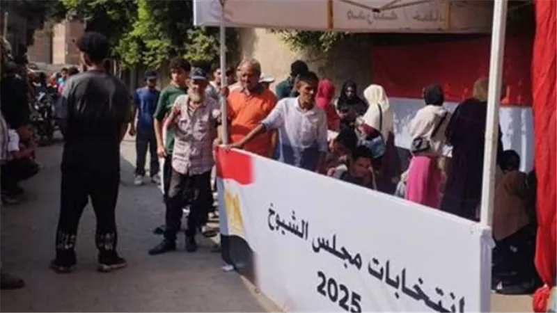 أهمية الاستعلام عن اللجان الانتخابية قبل موعد التصويت