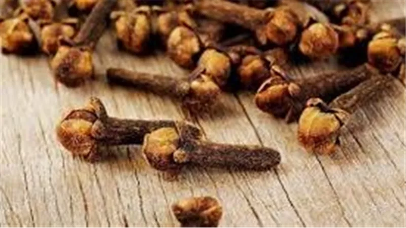 فوائد القرنفل لتخفيف الم الاسنان