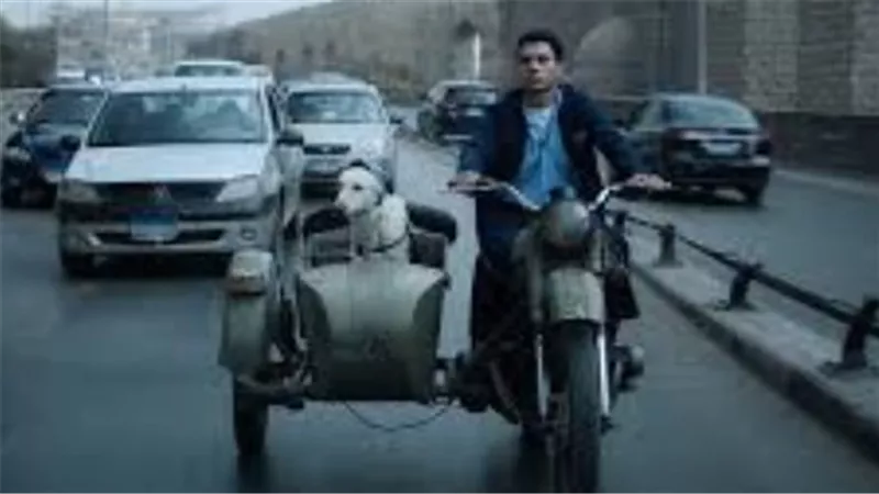 من السينما إلى المنصات.. 