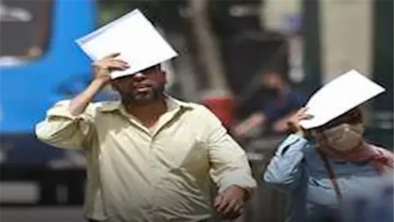 أخبار الطقس في مصر.. ارتفاع درجات الحرارة وشبورة مائية واضطراب في الملاحة