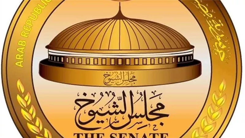 الهيئة الوطنية للانتخابات تعلن موعد مؤتمر إعلان نتيجة انتخابات مجلس الشيوخ 2025