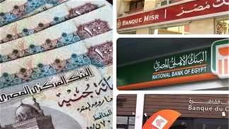 الاستثمار الآمن: كيف تختار أفضل شهادة ادخار بعائد مرتفع؟