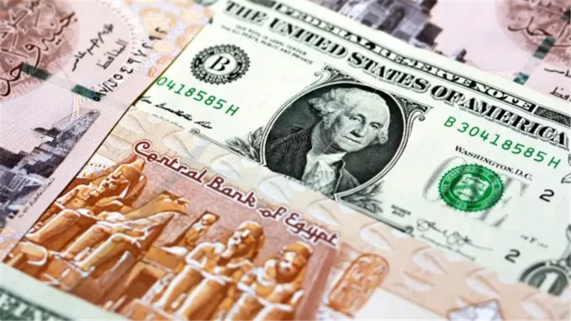 سعر الدولار اليوم أمام الجنيه المصرى فى البنوك