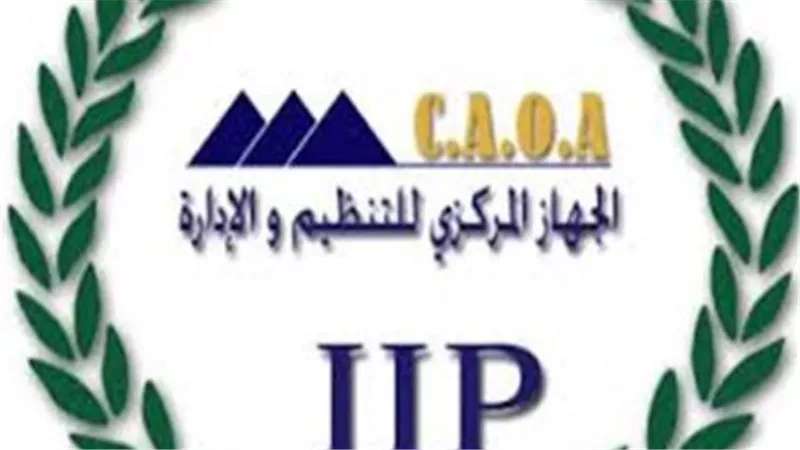 التحول الرقمي وخدمات الاستعلام في الجهاز المركزي للتنظيم والإدارة