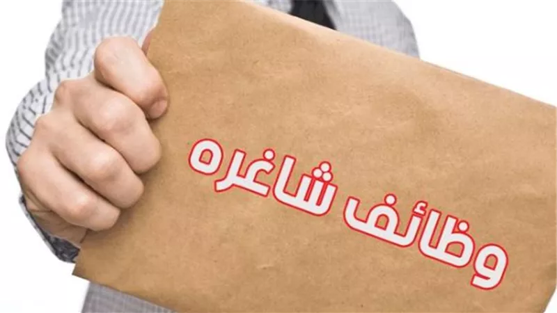 شروط ومزايا العمل في الوظائف الحكومية المصرية