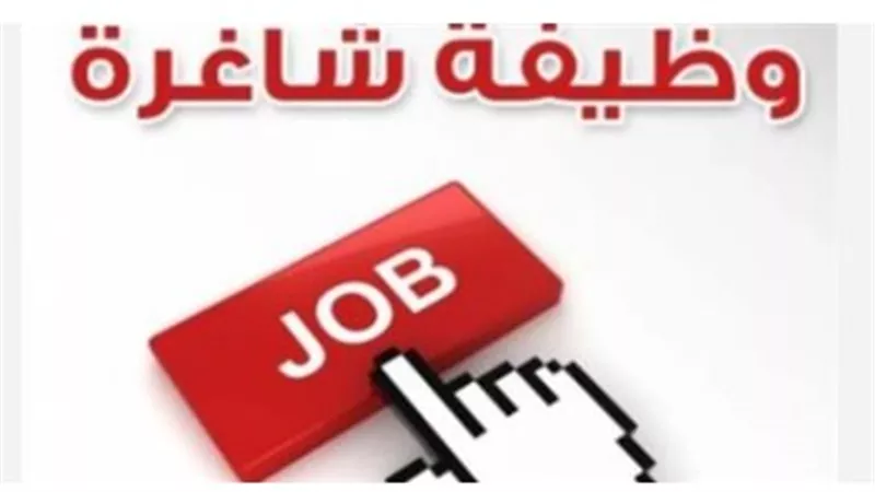 القطاعات الأكثر طلبًا في التوظيف الحكومي هذا العام